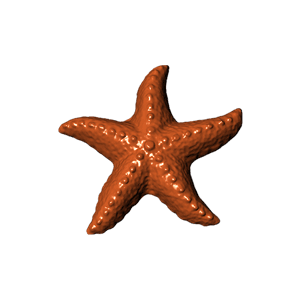 Starfish chocolate design