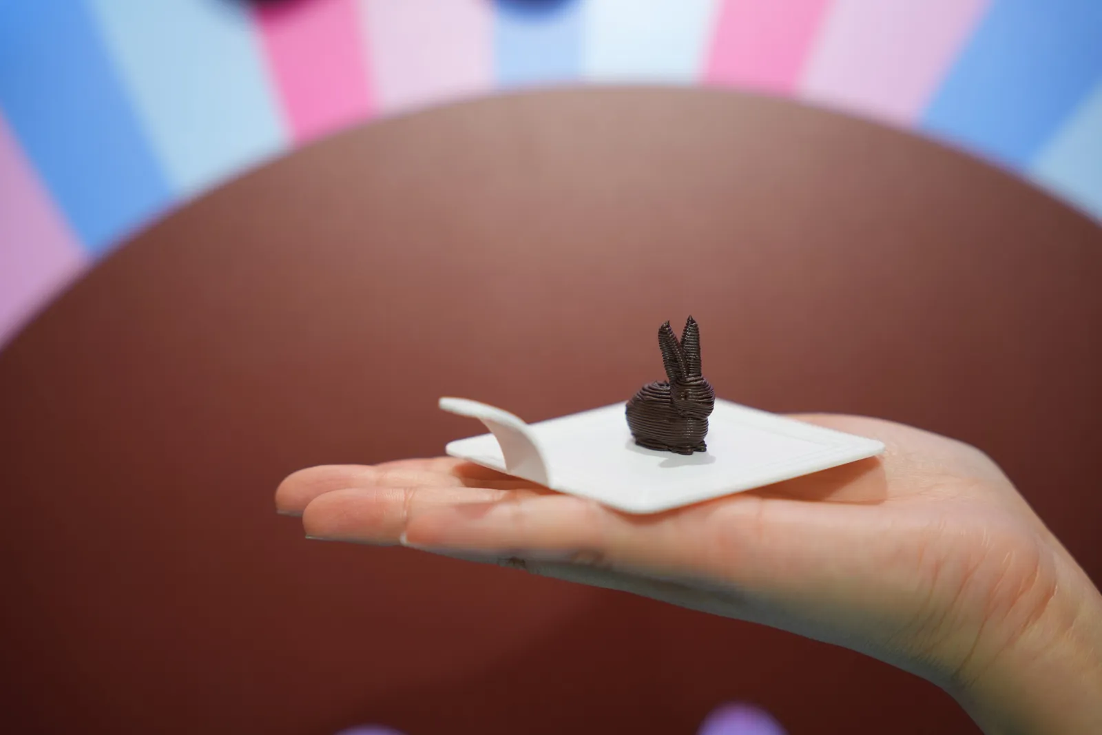 Printed chocolate bunny on a plate held in a hand